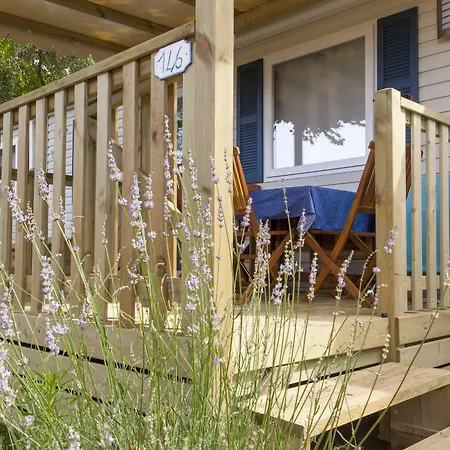 Delfino Camping Albenga