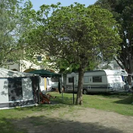 Delfino Camping