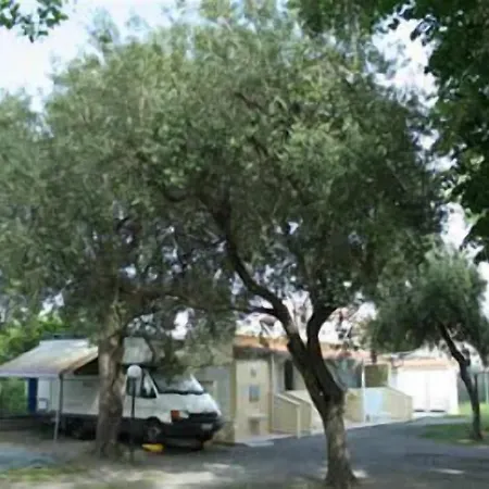 Delfino Camping Albenga