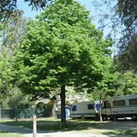 Campsite Delfino Albenga