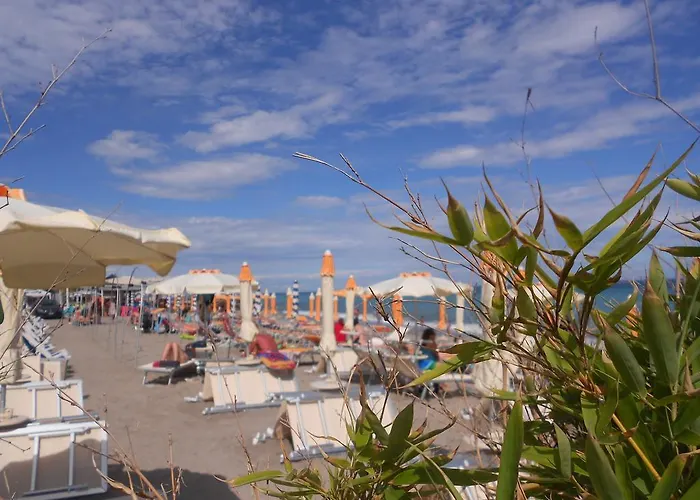 Delfino Αλμπένγκα