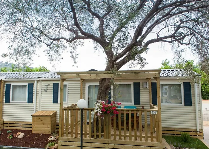 Delfino * Αλμπένγκα