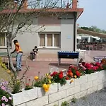 Delfino Albenga