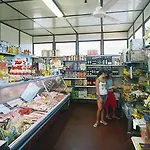 Delfino Albenga