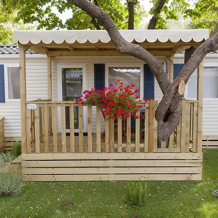 Delfino Альбенга