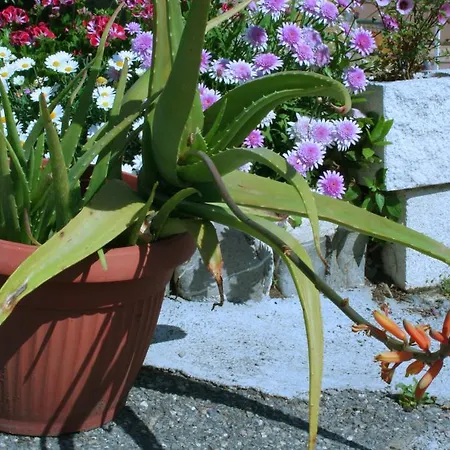 Delfino Кемпинг *