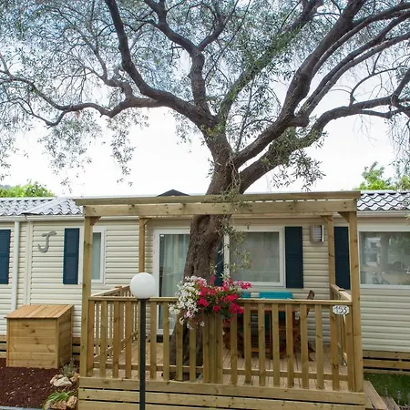 Delfino * Альбенга