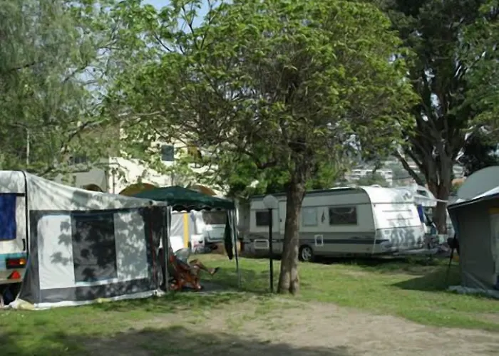 Delfino Parque de Campismo