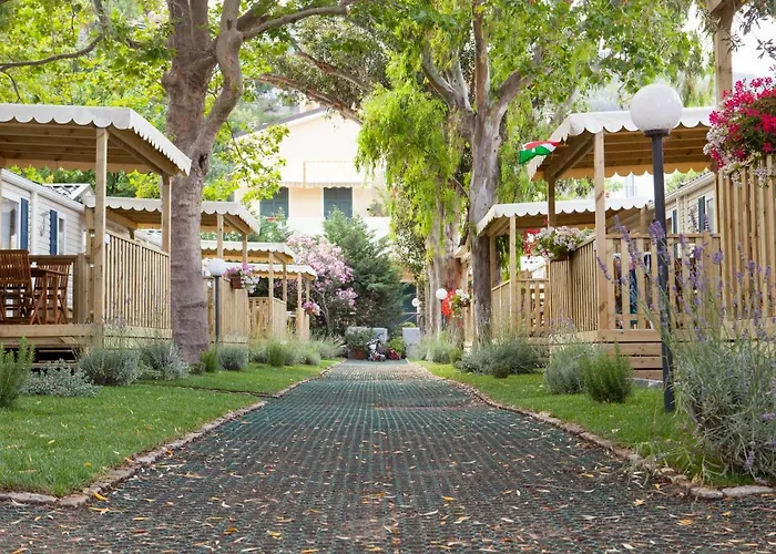 Delfino Parque de Campismo